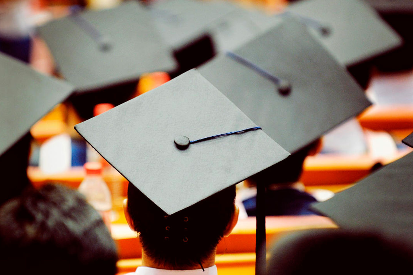 Speaker about Education topic.